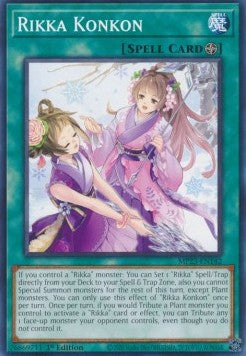 Rikka Konkon 1st Edition MP23 EU English