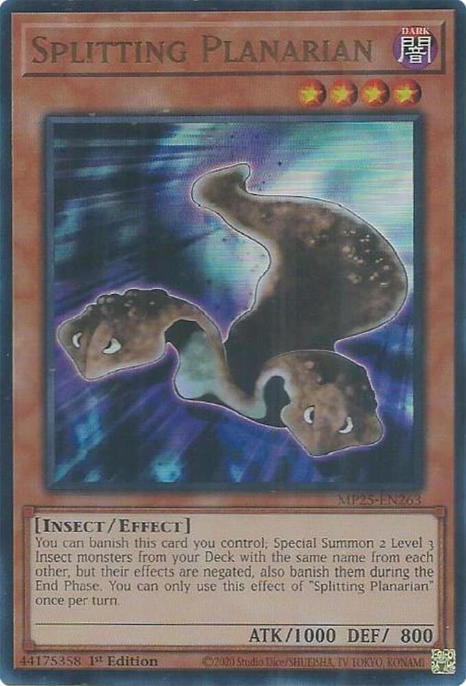 Splitting Planarian  1st Edition MP25 (Ultra Rare) EU English