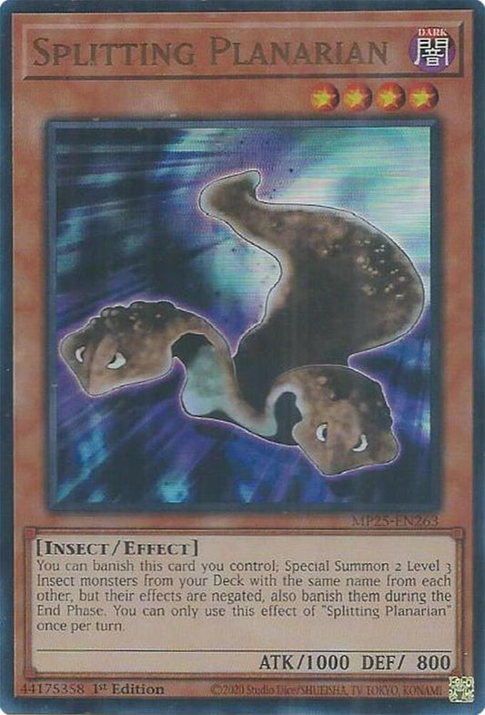 Splitting Planarian  1st Edition MP25 (Ultra Rare) EU English