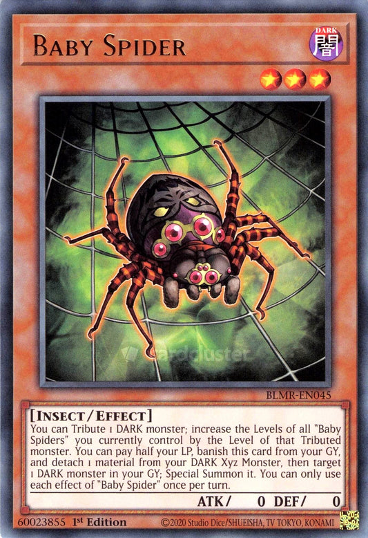 Baby Spider 1st Edition BLMR EU English